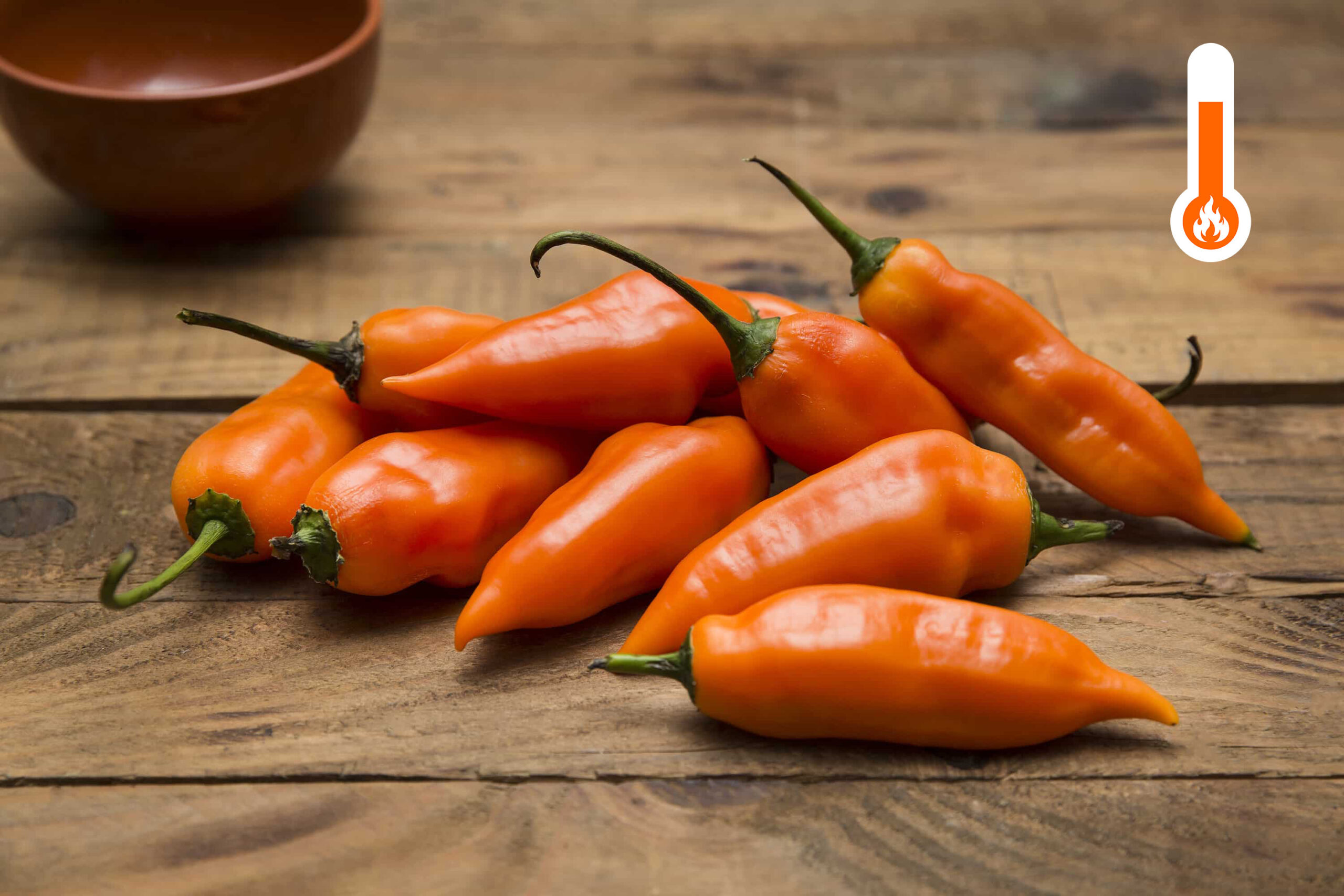 Aji Amarillo_Orange_Westland Peppers (1)