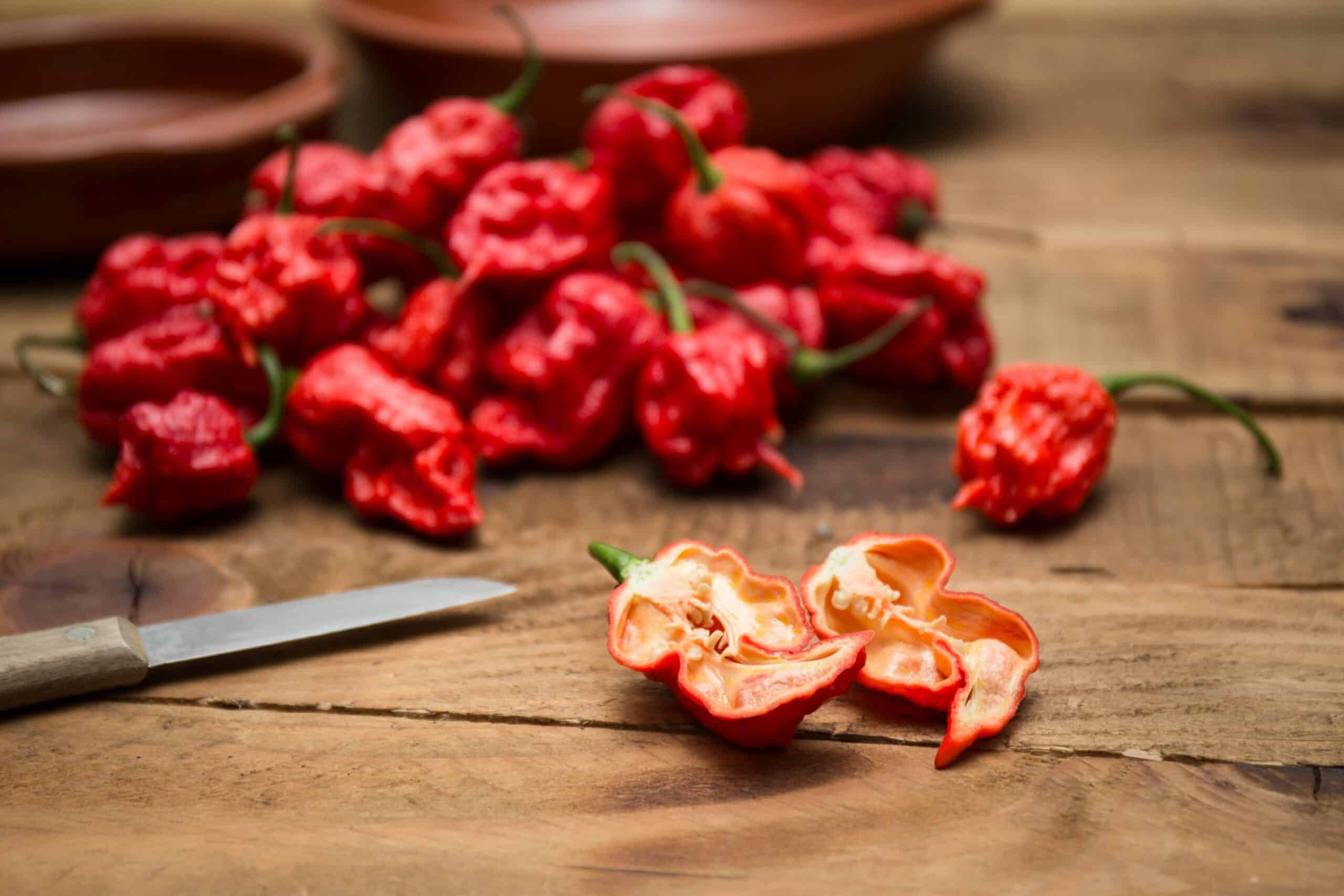 Carolina reaper Westlandpeppers