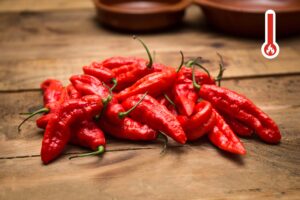 Naga Jolokia / Ghost pepper