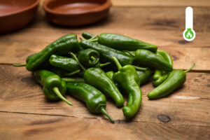 Pimientos de Padron