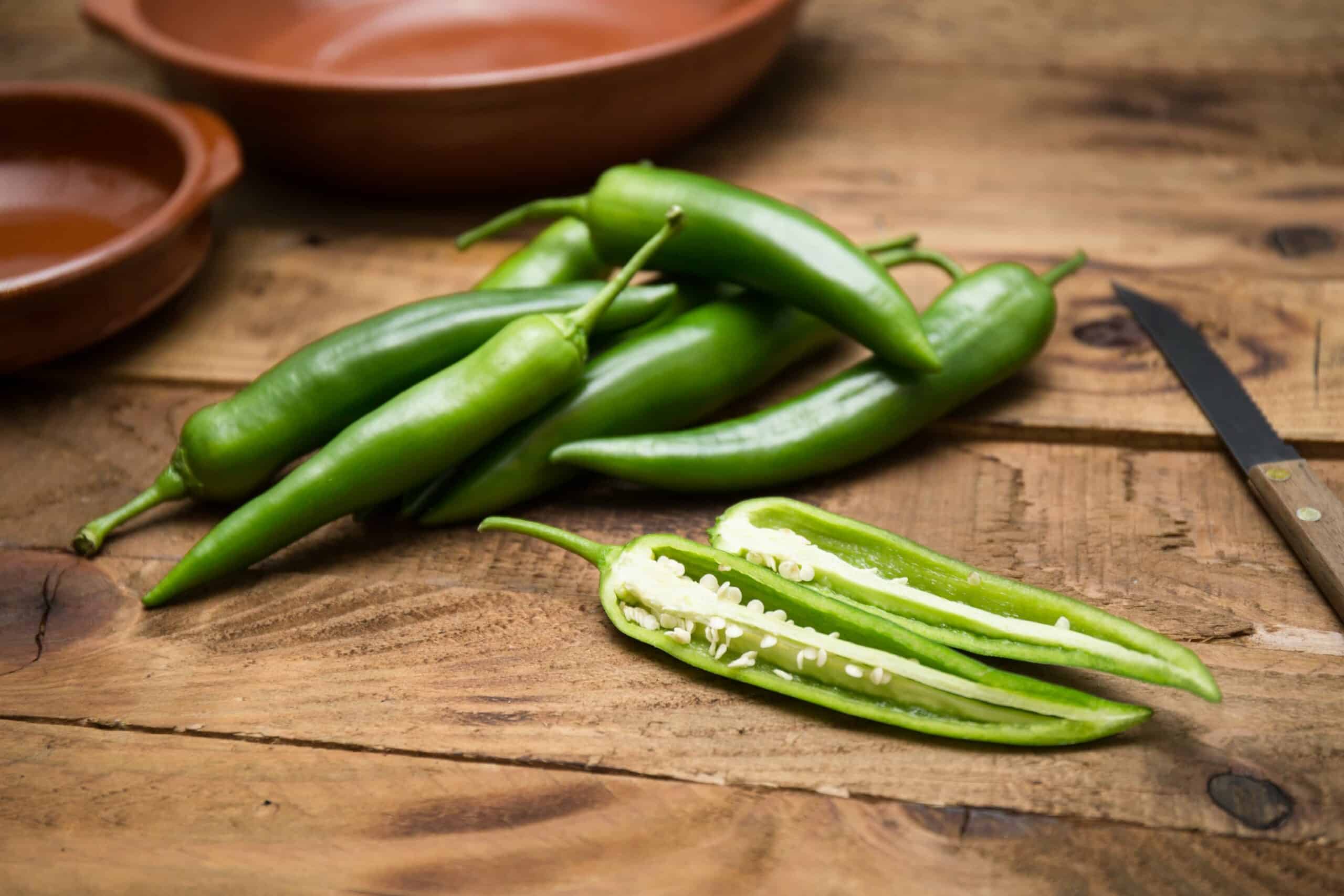 Shakira Westlandpeppers