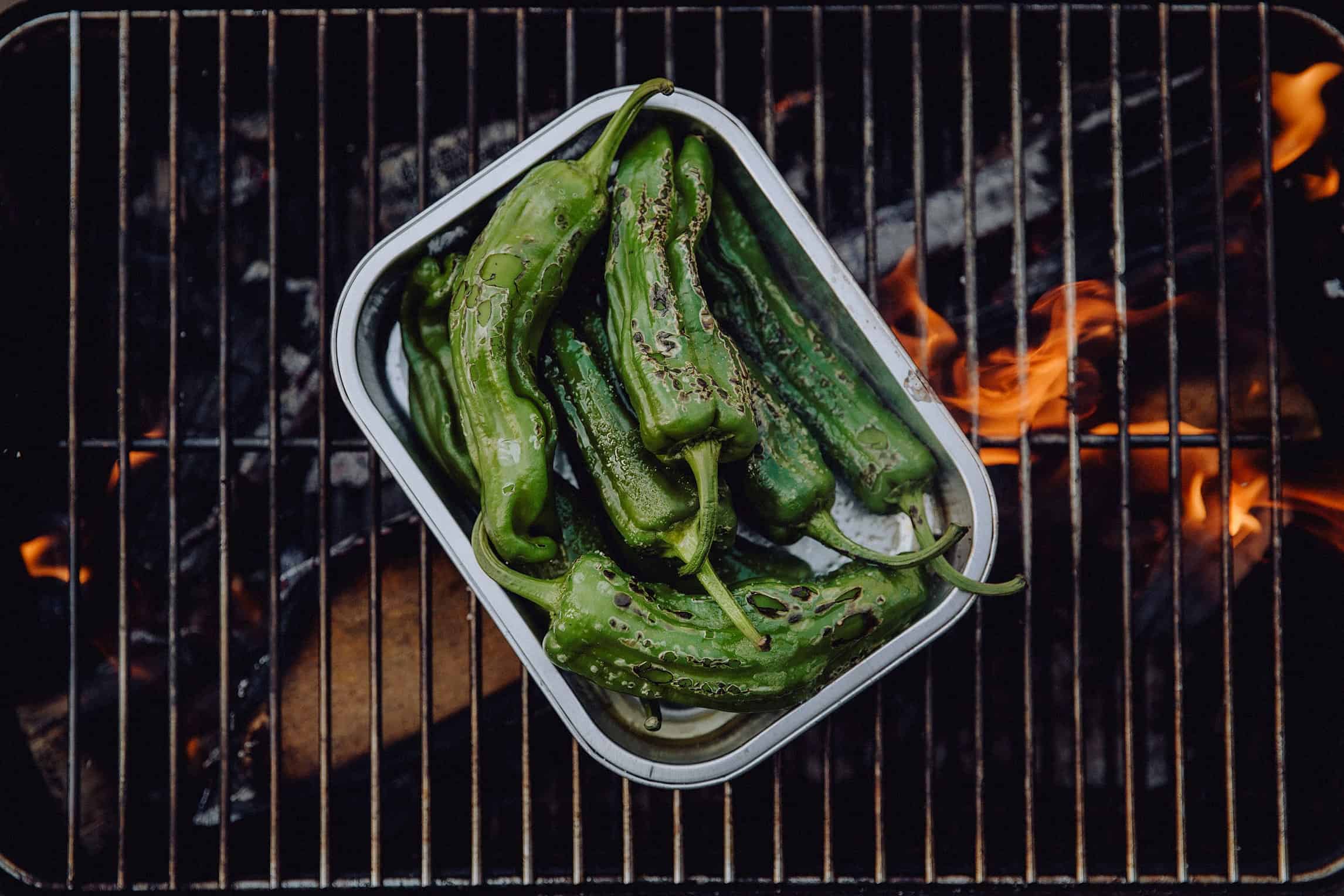 Shishito BBQ Westlandpeppers