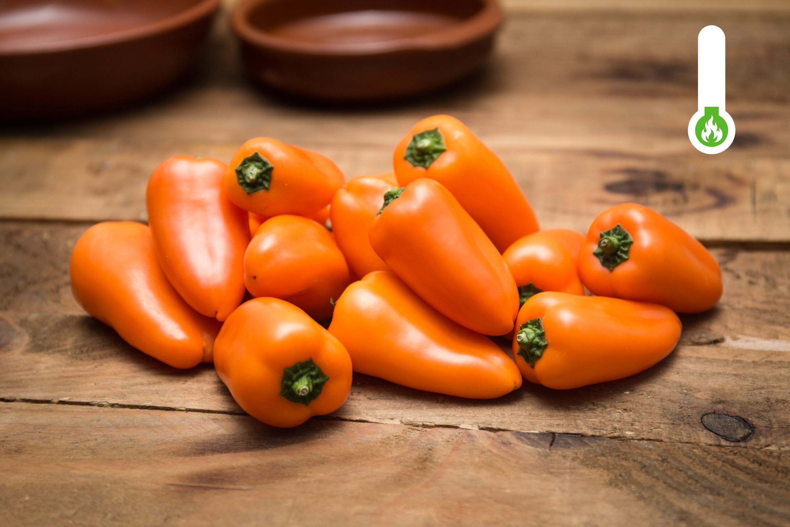 Poivrons à grignoter à l'orange_Westlandpeppers