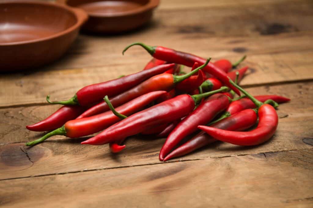 Spanish Chili red Westlandpeppers