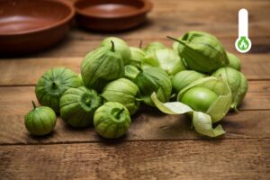 Tomatillo