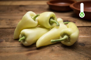 Witpunt paprika