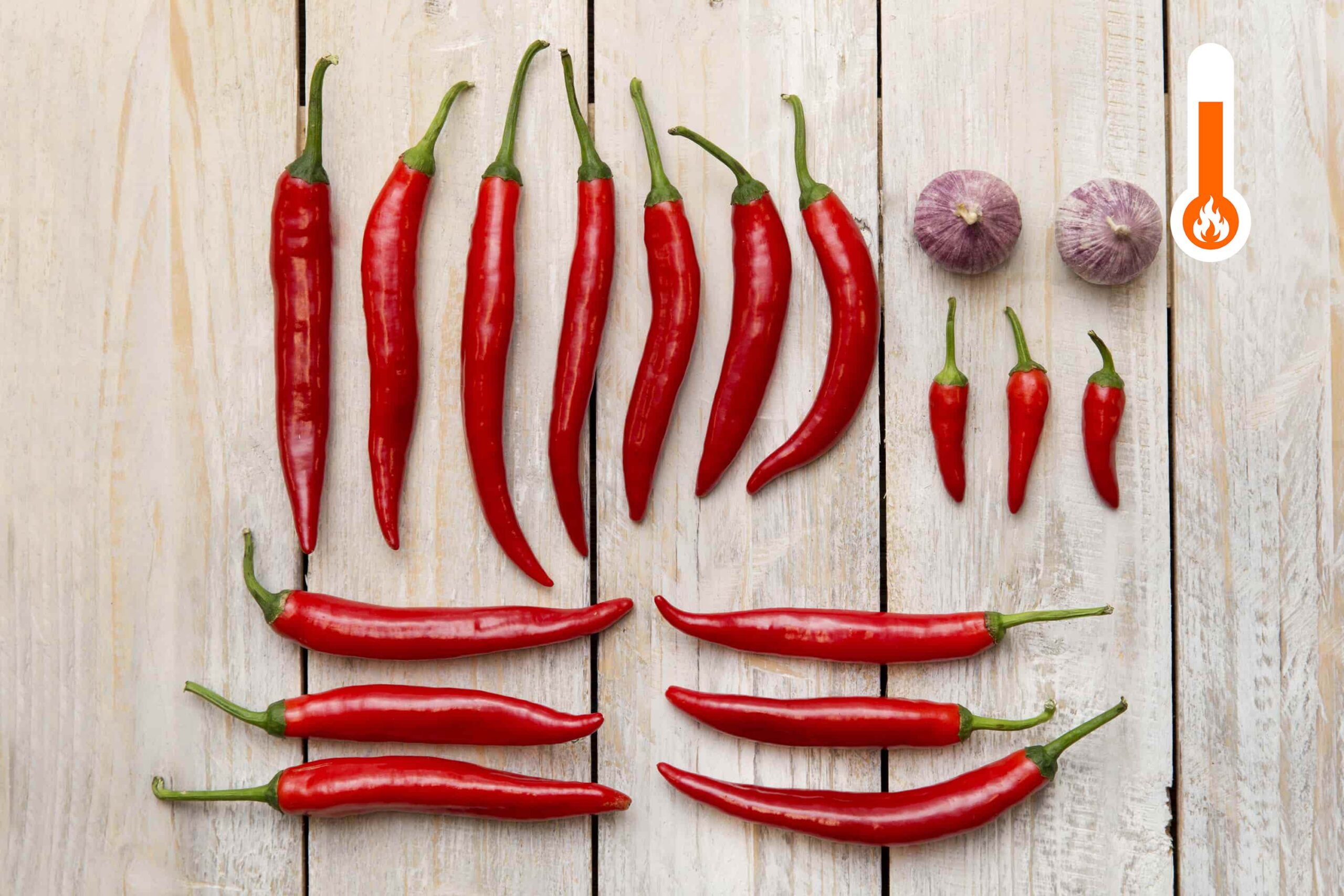 Lot de sambal_rouge_Westlandpeppers (2)
