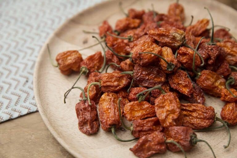 Gedroogde habanero Westlandpeppers