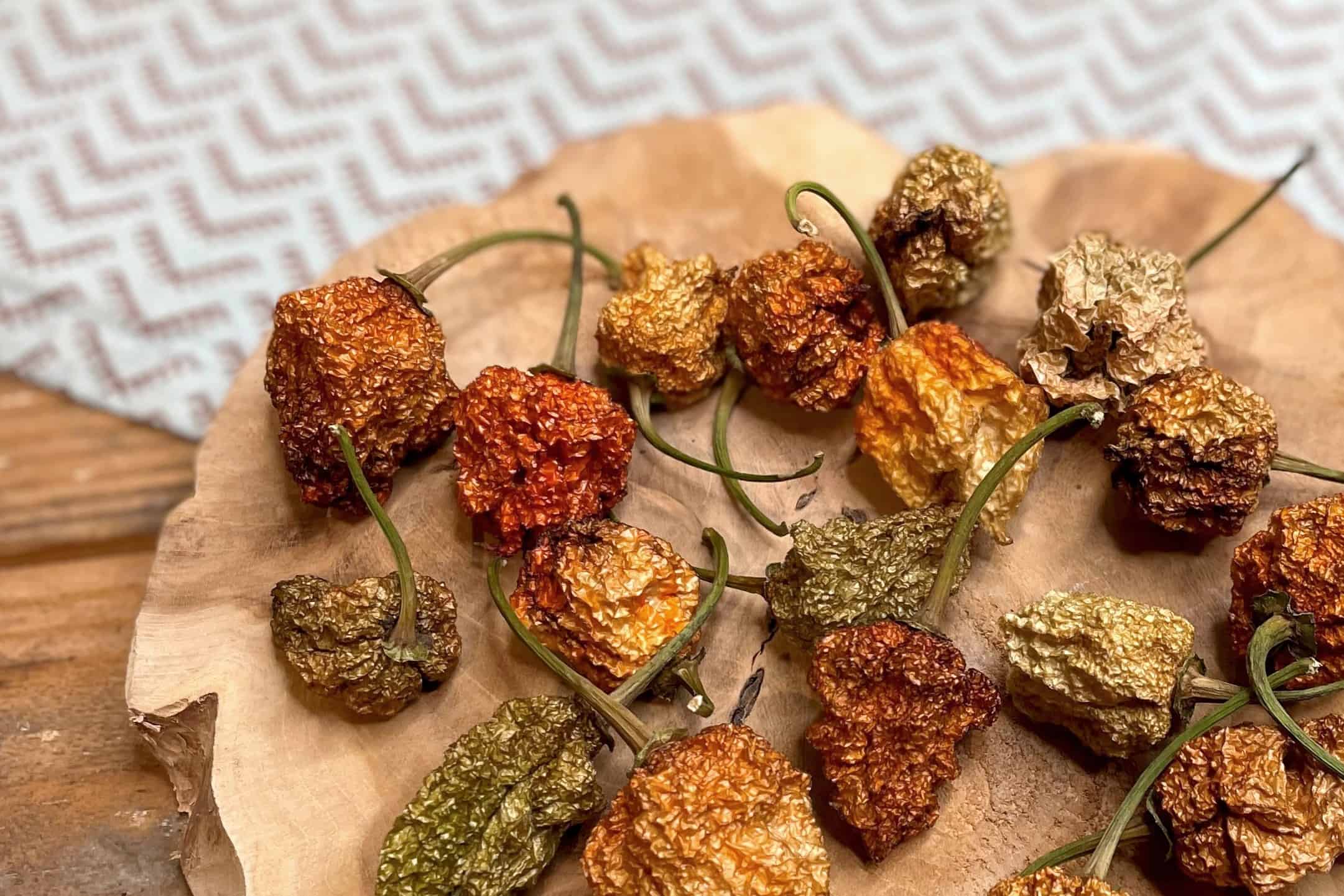 Gedroogde Carolina Reaper Westlandpeppers