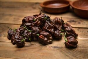 Trinidad Scorpion Westlandpeppers