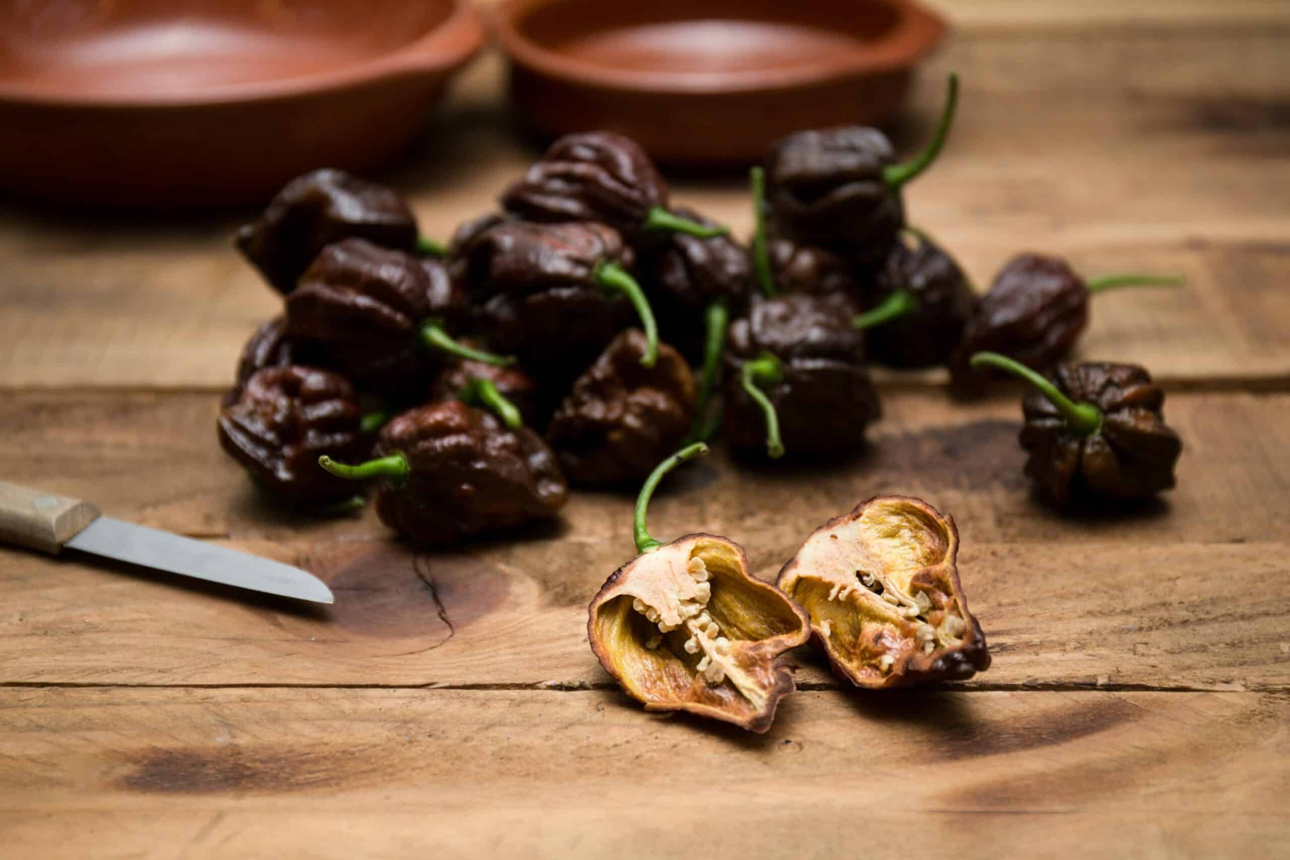 Trinidad Scorpion Westlandpeppers