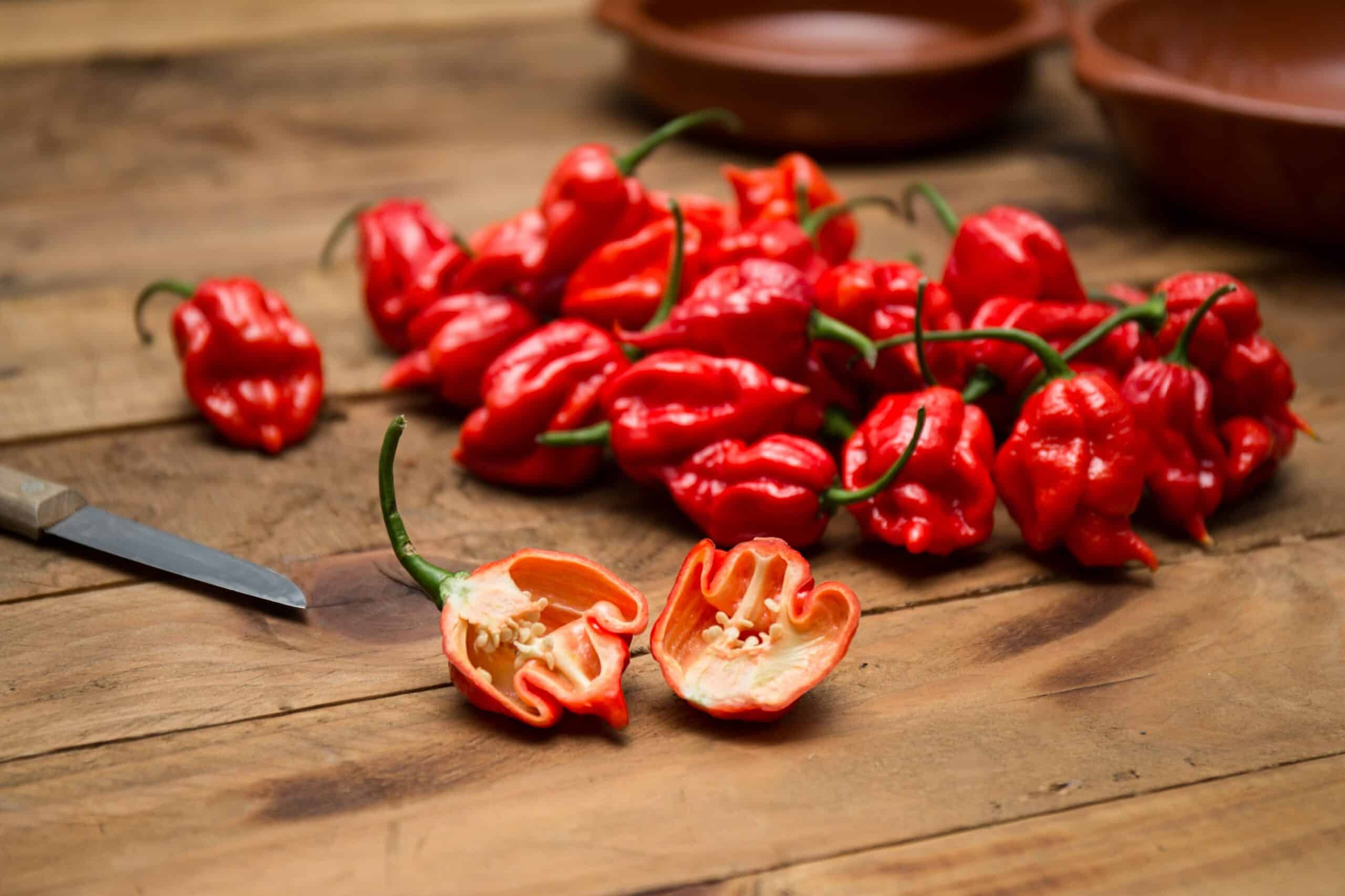 Trinidad Scorpion Westlandpeppers