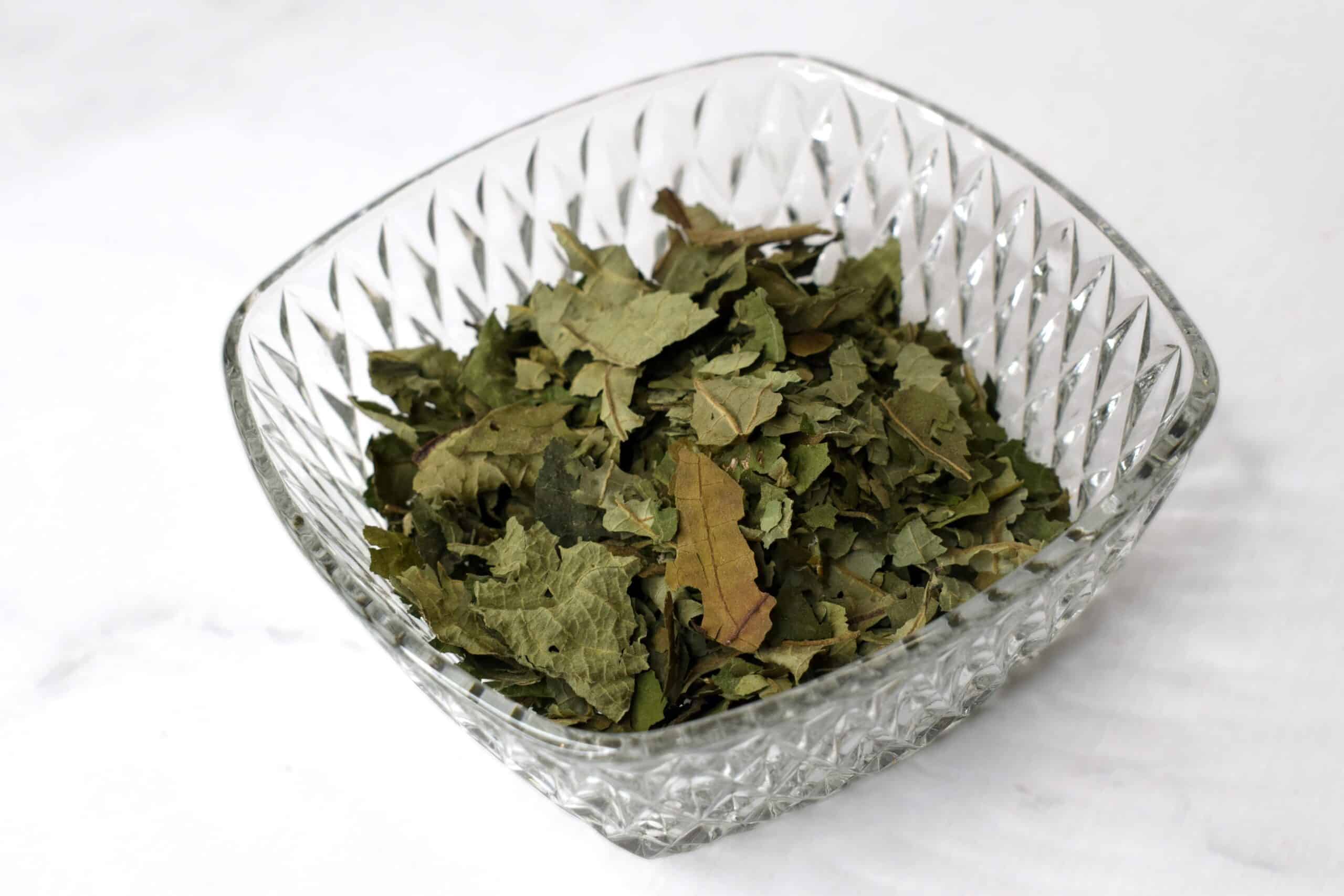 Dried-Hoja_Santa_Westlandpeppers(1)