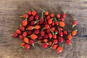 Aji Charapita (Jumbo)