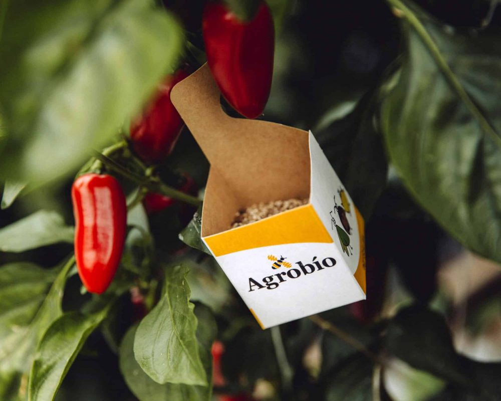 Biologische bestrijding Westlandpeppers
