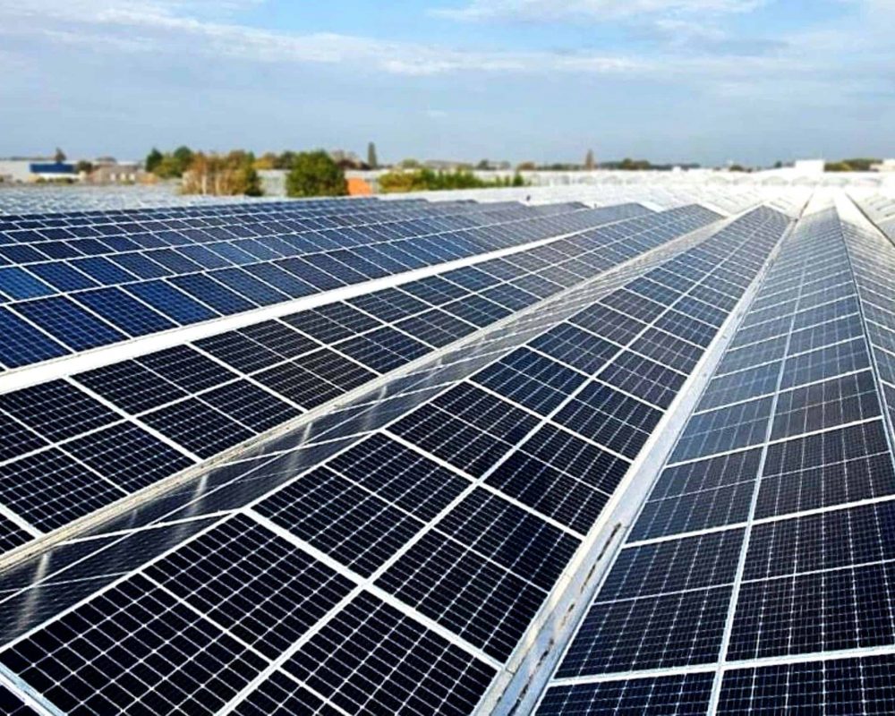 Zonnepanelen Westlandpeppers